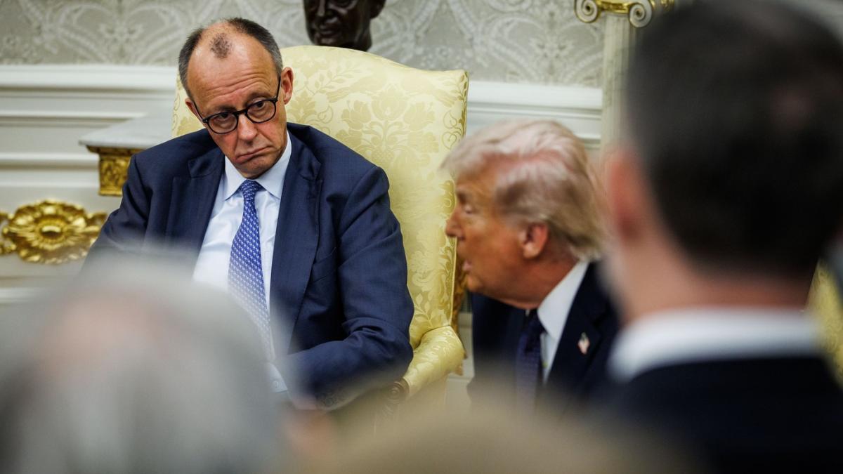 Friedrich Merz si donald trump