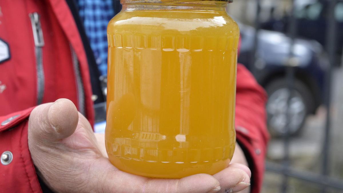 apicultorii romani cer sprijin urgent piata va fi inundata de miere din mercosur scutita de taxa de import