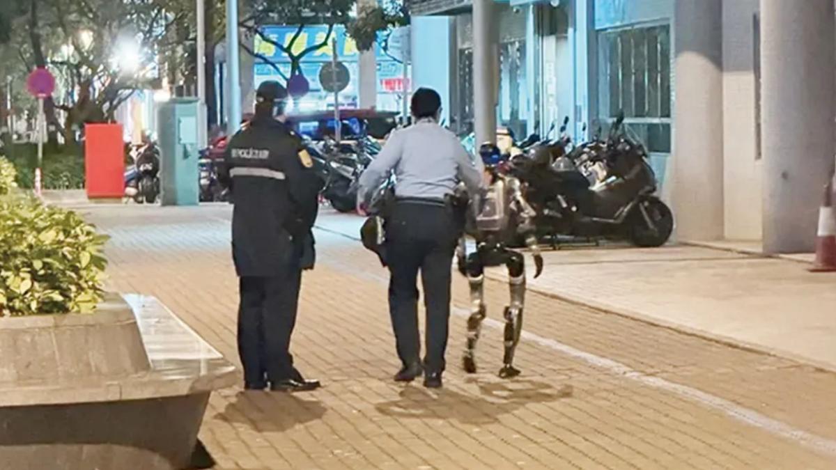 un robot a fost escortat de politisti dupa ce a speriat teribil o batrana