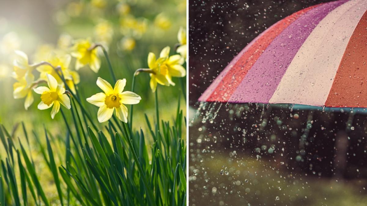 anm a actualizat prognoza meteo pentru urmatoarele doua saptamani de cand revin ploile