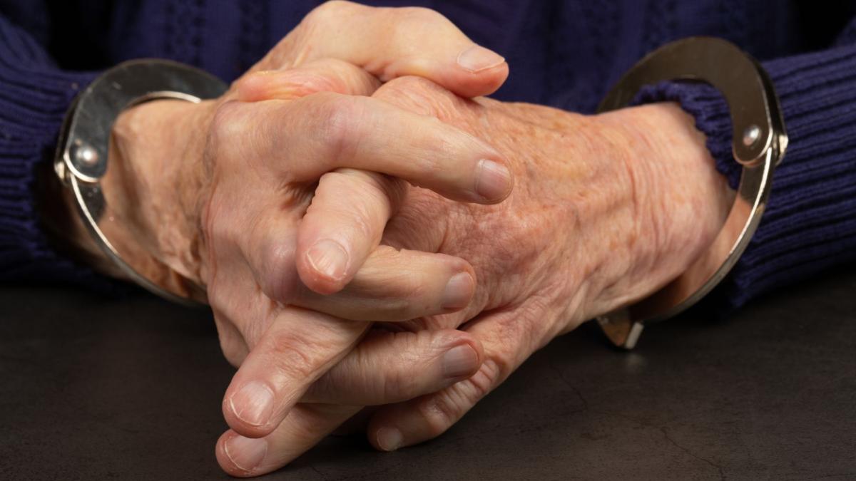 o eroare a inteligentei artificiale a trimis o bunica nevinovata la inchisoare timp de aproape sase luni