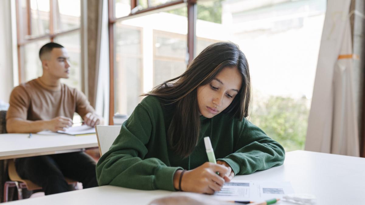 poza in care apar doi elevi care sustin un examen