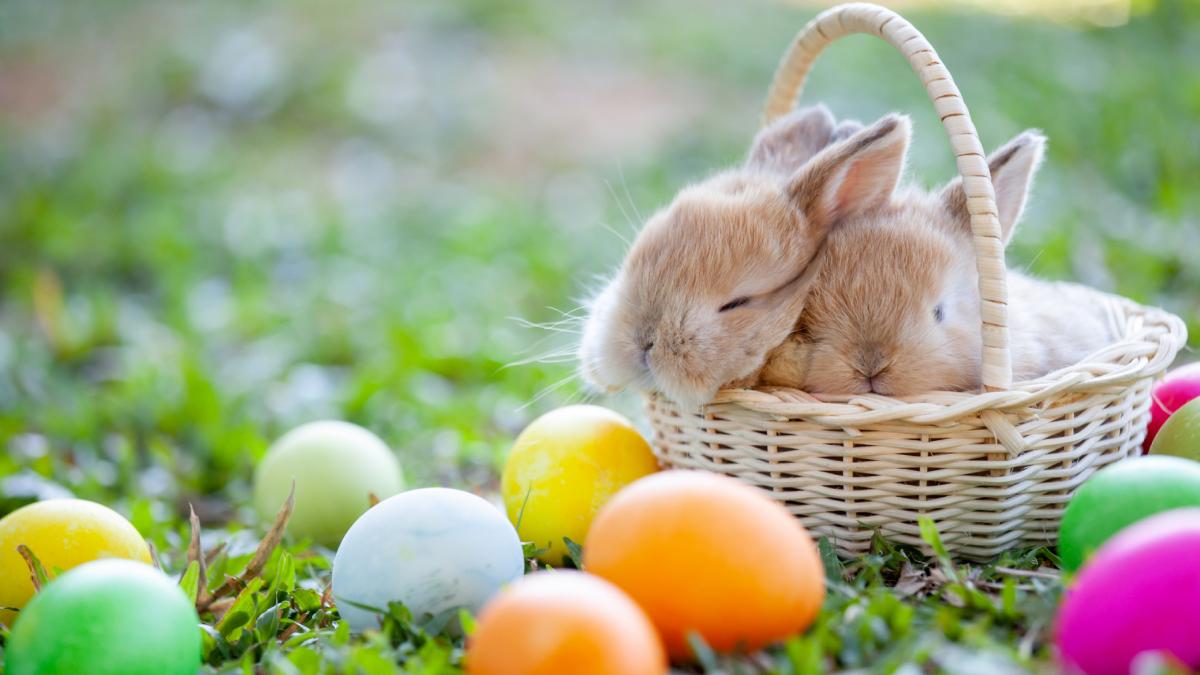 vremea de paste 2026 prognoza meteo pentru luna aprilie care sunt zonele vizate de ploi