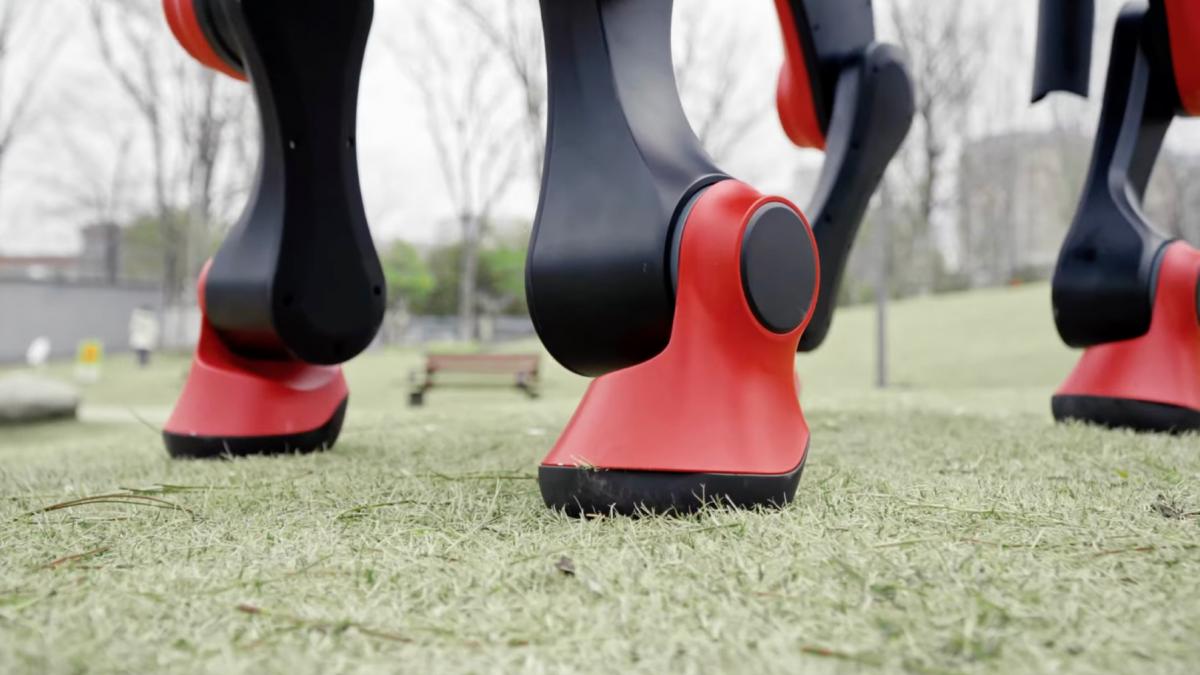 chinezii lanseaza ponei roboti in editie limitata pentru a marca anul calului de foc cum arata cat costa si ce viteza pot atinge