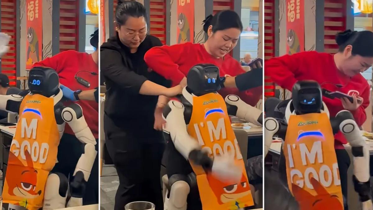 momentul in care un robot umanoid angajat la un fast food din california o ia razna in fata clientilor colegii nu stiu sa l opreasca