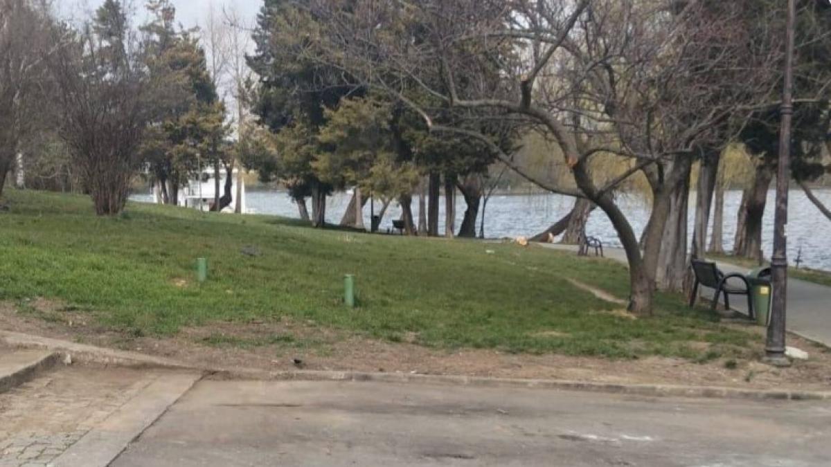 ciprian ciucu a anuntat ca scoate cascarabetele ilegale din herastrau si cismigiu suntem la inceput ne facem mana