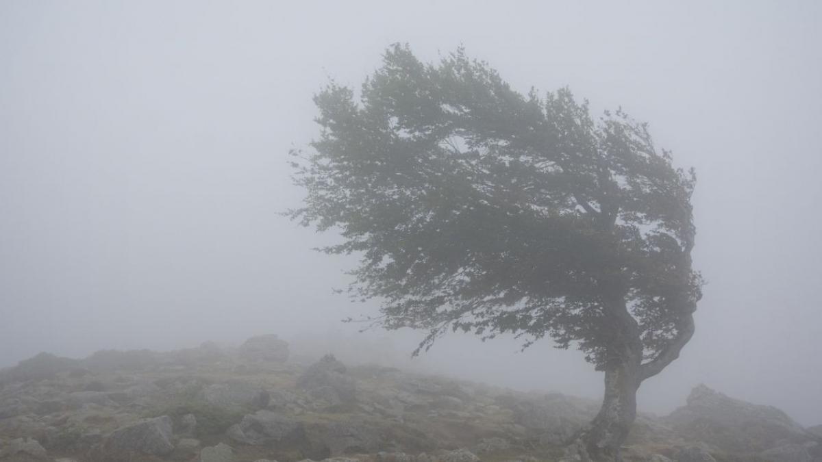 fenomene meteo extreme in weekend in romania vantul va atinge 80 km h ce se intampla saptamana viitoare