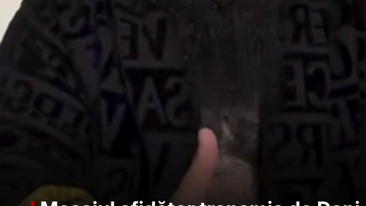 mesajul sfidator transmis de dani mocanu catre justitie inainte de a fi extradat din italia ma duc la puscarie ca la cofetarie