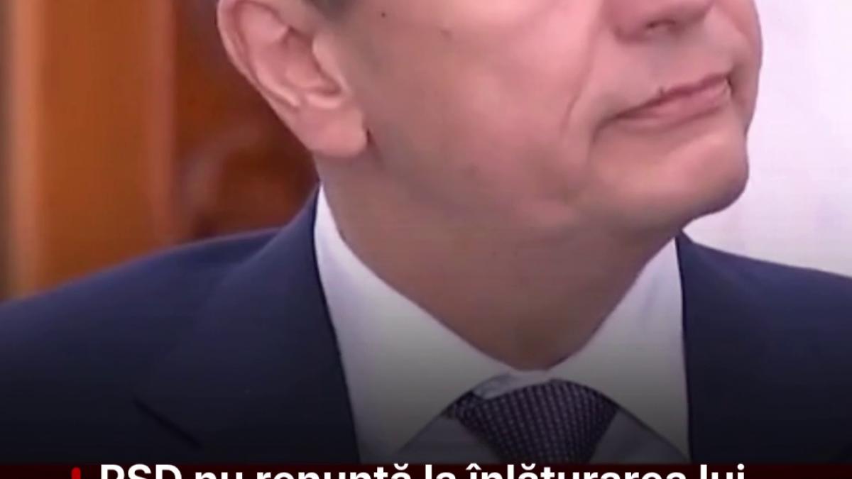 psd nu renunta la inlaturarea lui bolojan grindeanu vom face acea consultare interna 5 000 de oameni vor hotari si vom vedea