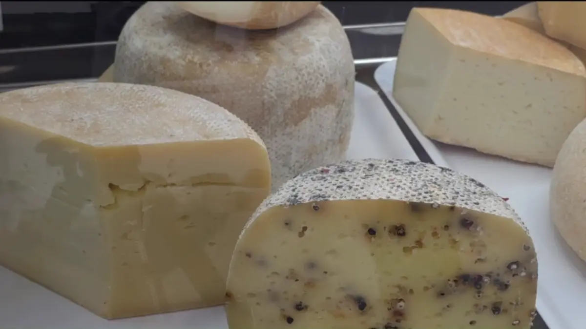 afacere de succes la fagaras un roman care a muncit 25 de ani in italia a folosit experienta de acolo pentru o fabrica de lactate