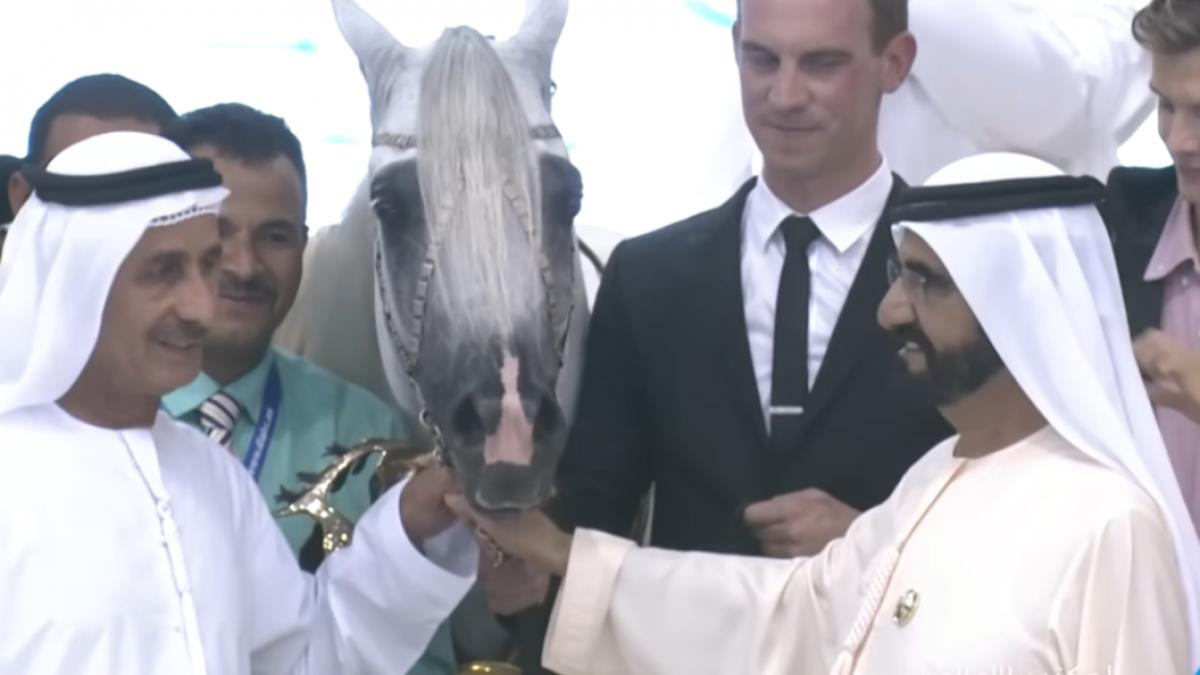 emirul dubaiului e atat de bogat incat are un boeing 747 pentru a si transporta pretiosii cai de curse cum arata un astfel de zbor