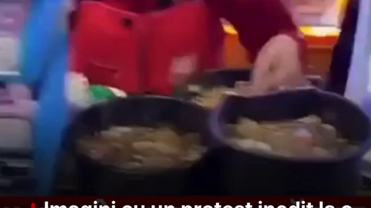 vlcsnap-2026-03-23-13h52m53s443