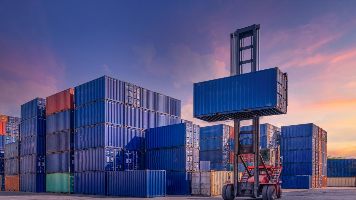 razboiul care scumpeste totul de la avocado la adidasi medicamente si semiconductori nimeni nu scapa de criza din golf