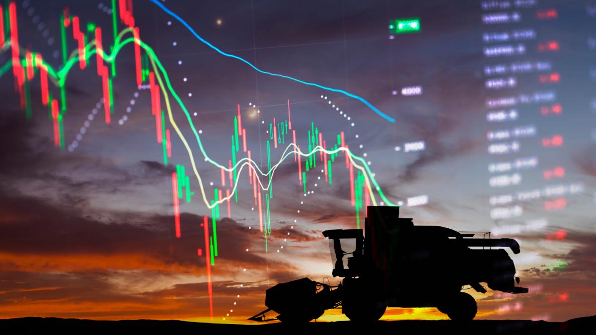 preturi scumpiri agricultura economie