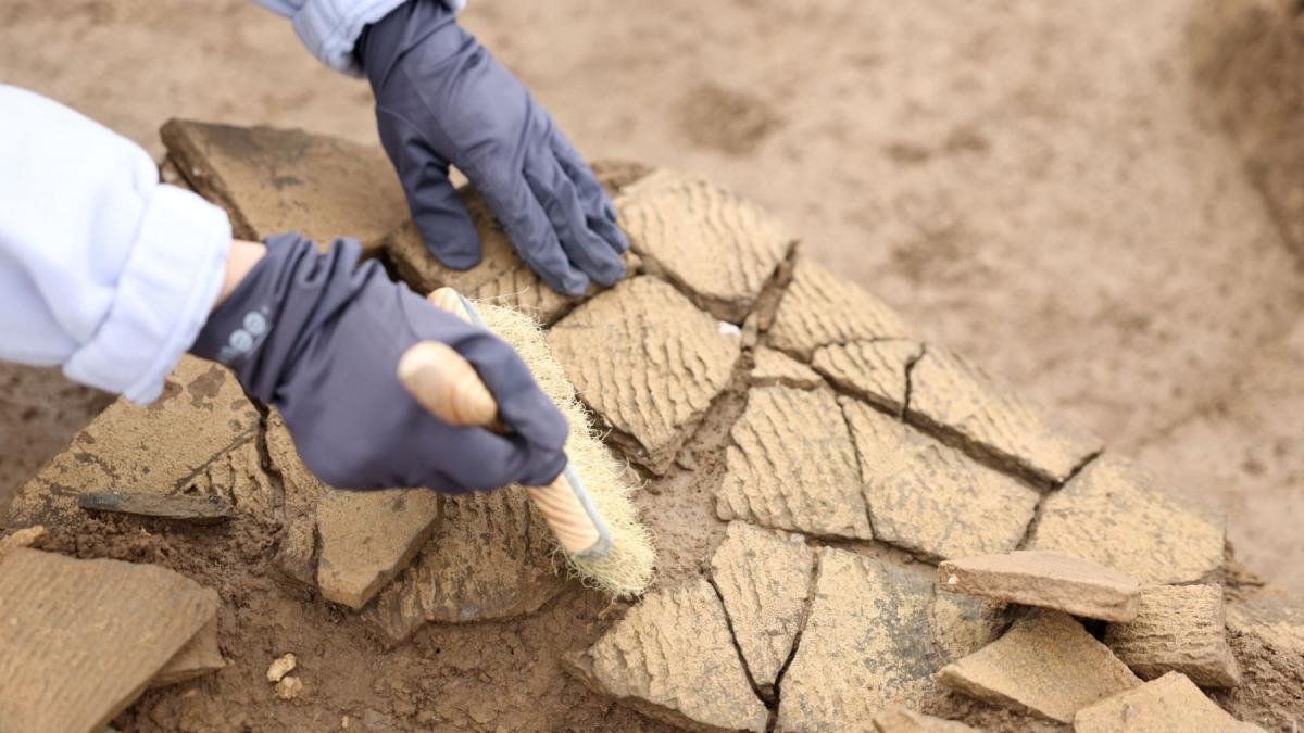 un oras medieval pierdut a fost redescoperit intr o padure dupa sute de ani arheologii incearca sa afle de ce a fost abandonat