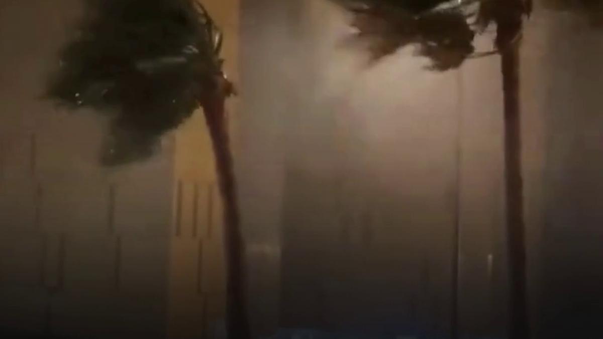 vlcsnap-2026-03-27-10h49m52s915