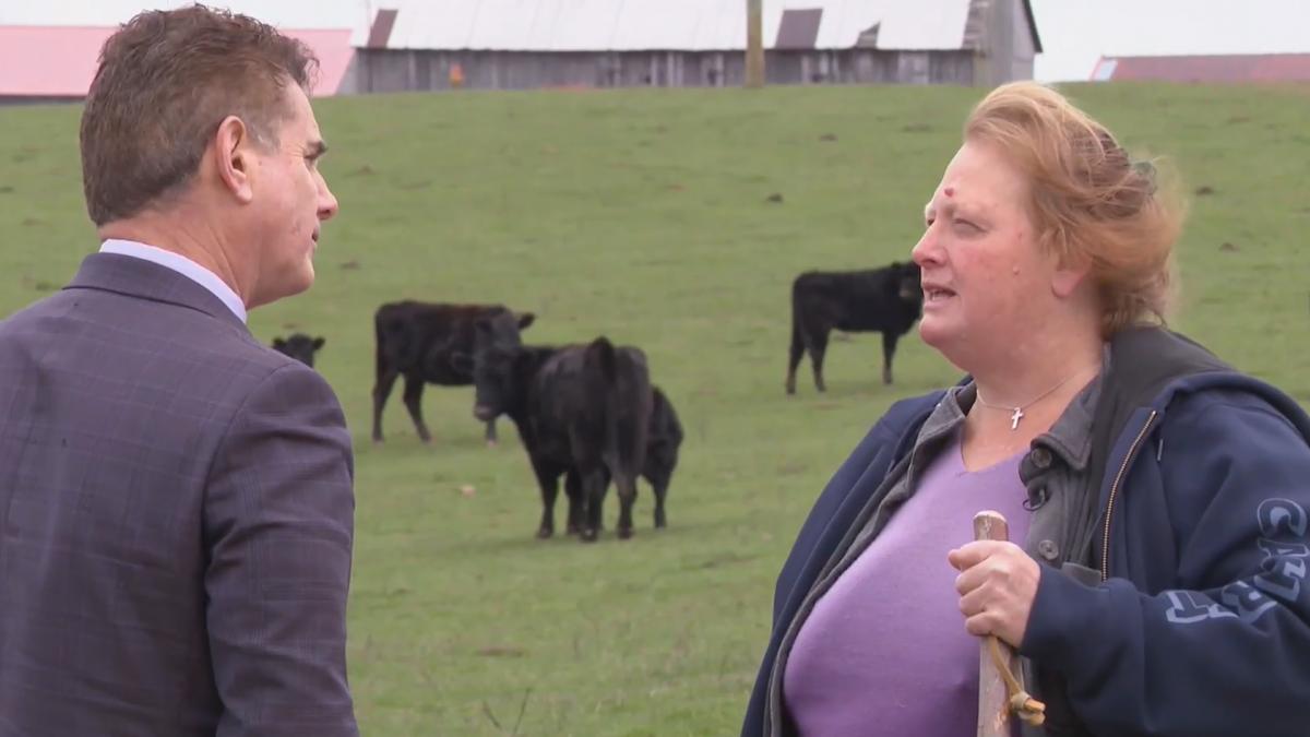 o femeie refuza sa si vanda ferma cu 26 de milioane de dolari desi valoreaza de 10 ori mai putin cum explica decizia