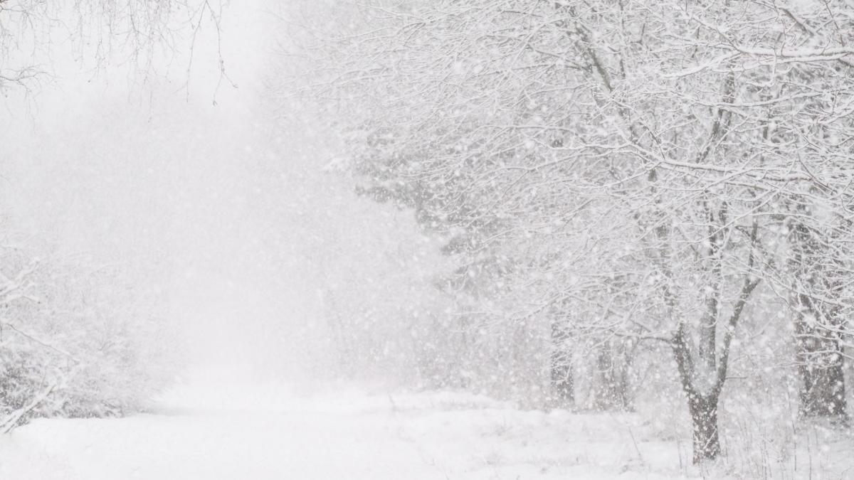 vine viscolul meteorologii au anuntat cod portocaliu in doua judete