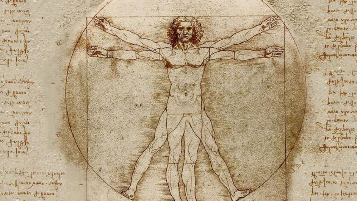 omul vitruvian 
