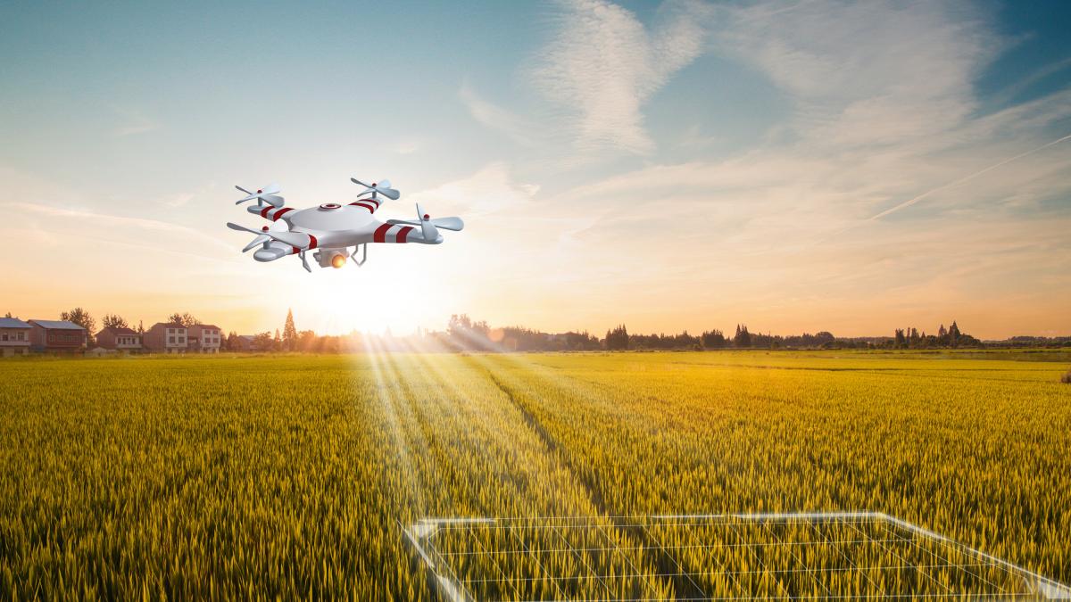 un tanar de 16 ani a refuzat o oferta de 300 000 de dolari ca sa renunte la scoala dupa ce si a dezvoltat propria afacere de succes