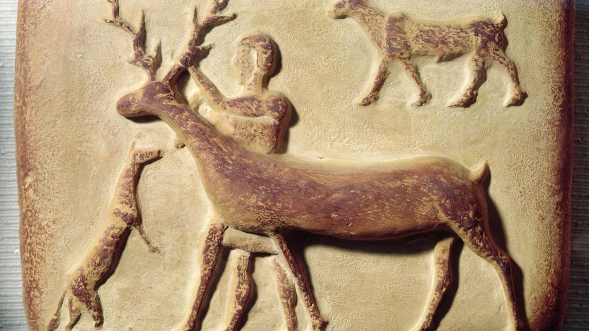 analizarea unui adn vechi de peste 14 000 de ani schimba total ce se credea pana acum despre imblanzirea cainilor