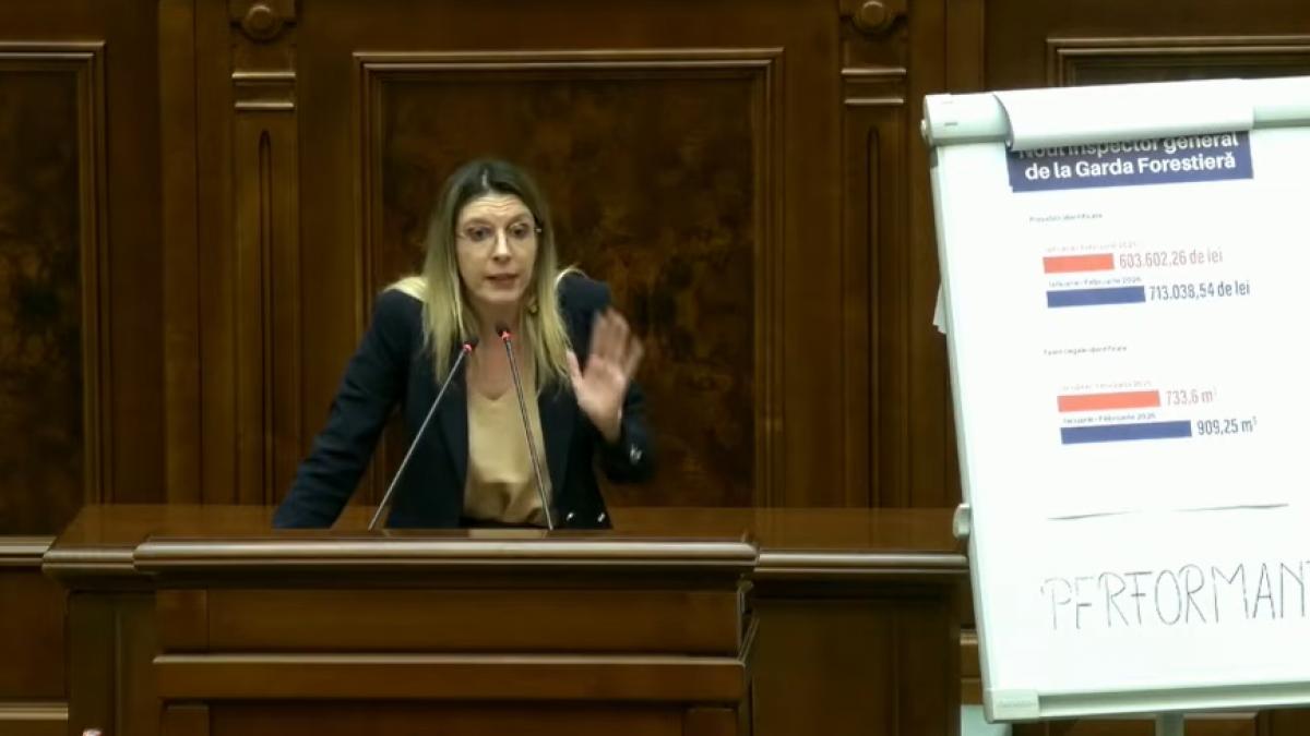 motiunea simpla impotriva dianei buzoianu a picat psd nu a votat bolojan a lipsit schimb dur de replici in senat