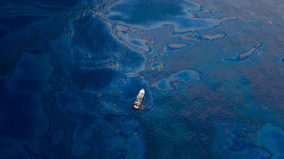 trump a convocat god squad pentru a anula protectia speciilor pe cale de disparitie din golful mexic care este motivul