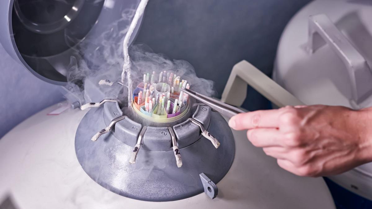 un barbat si fiul lui nu mai au voie sa doneze sperma dupa ce ar fi conceput peste 600 de copii descoperirea socanta a unei femei