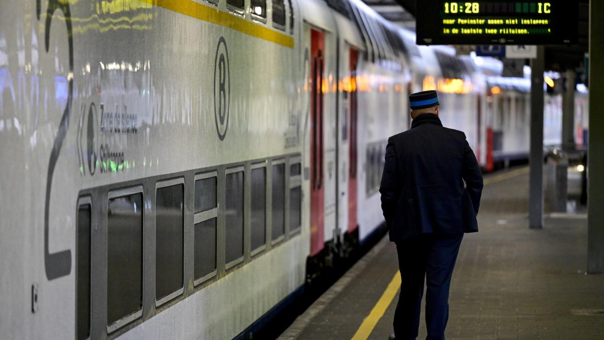 belgia scoate soldatii in statiile de metrou si de tren din bruxelles ce rol vor avea