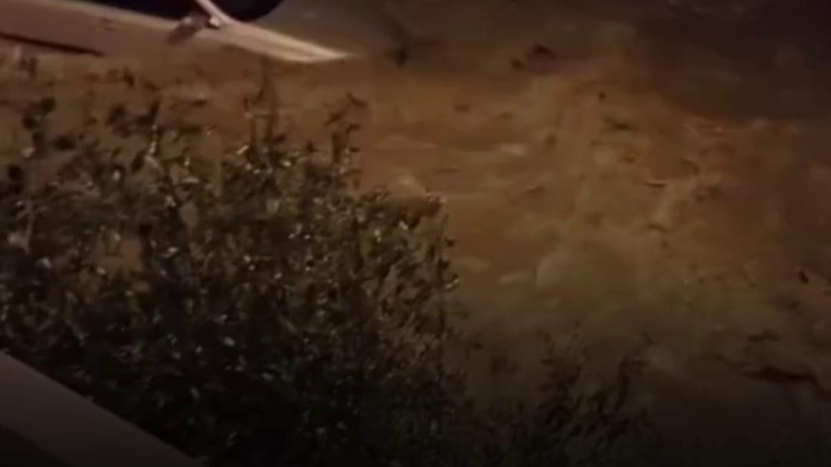 vlcsnap-2026-04-02-14h52m42s970