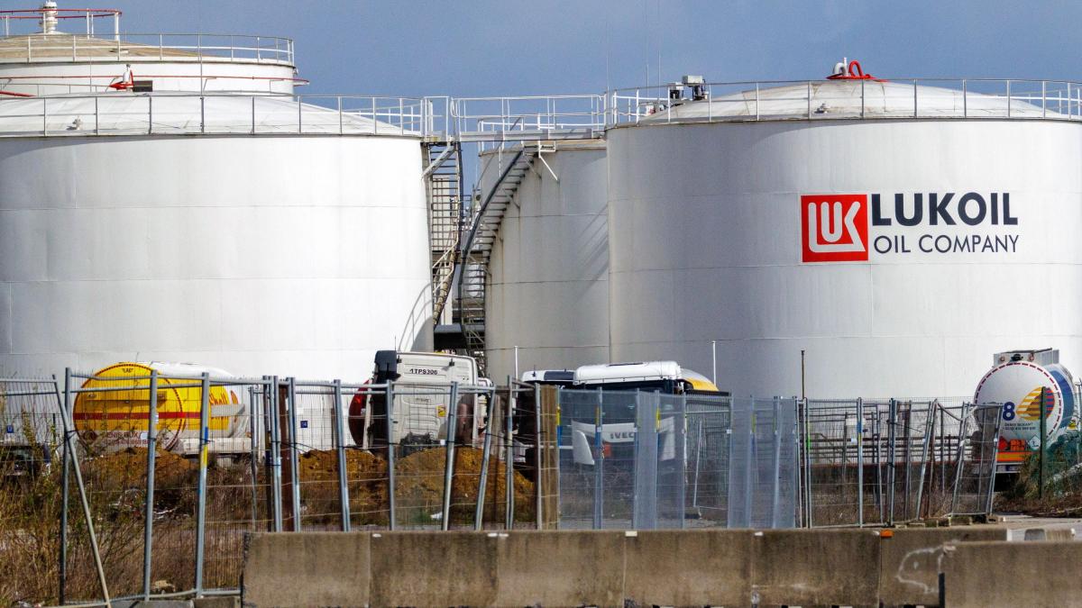 inchiderea petrotel modifica reteaua de combustibili oil terminal creste stocurile pentru motorina si le reduce pe cele pentru benzina