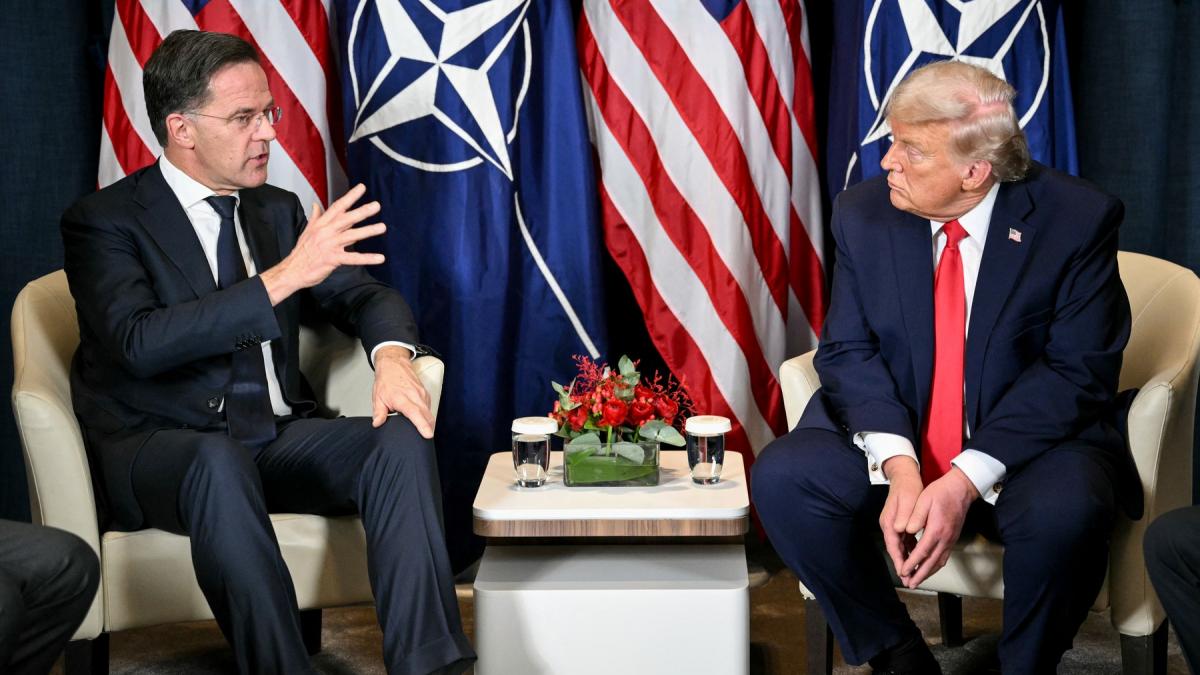 mark rutte se va intalni saptamana viitoare cu donald trump dupa amenintarea ca retrage sua din nato