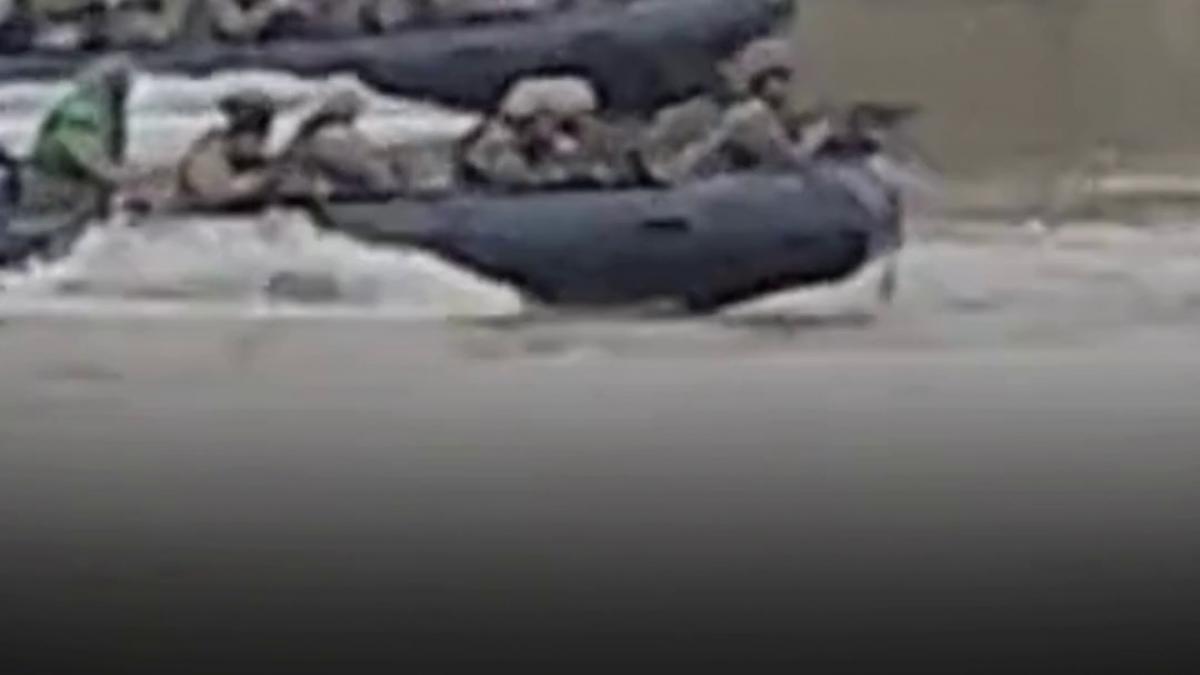 vlcsnap-2026-04-02-11h54m00s734