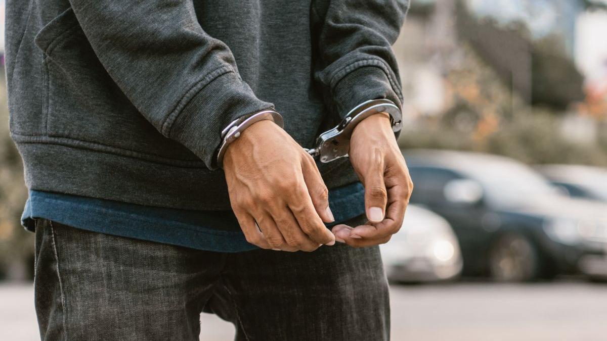 un barbat de peste 70 de ani merge la inchisoare dupa ce a batut cu bestialitate un caine in bucuresti sentinta este definitiva