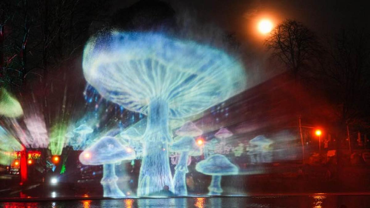 targul de paste 2026 de la craiova deschiderea oficiala se amana din cauza ploilor imagini de poveste ce ii asteapta pe vizitatori