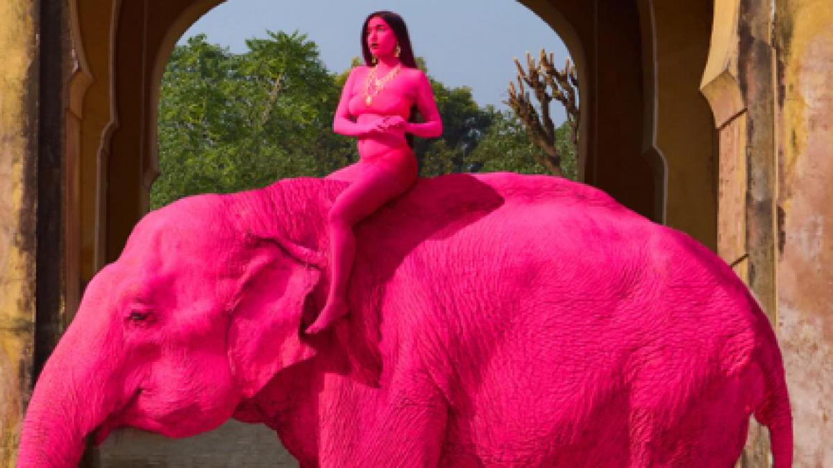 un elefant vopsit in roz şi o tarana suita pe elefant si vospita tot in roz
