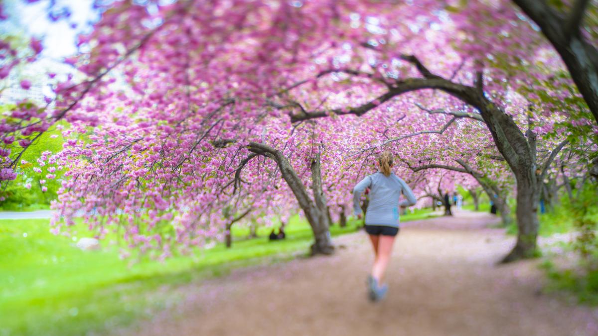 GettyImages-1174227913