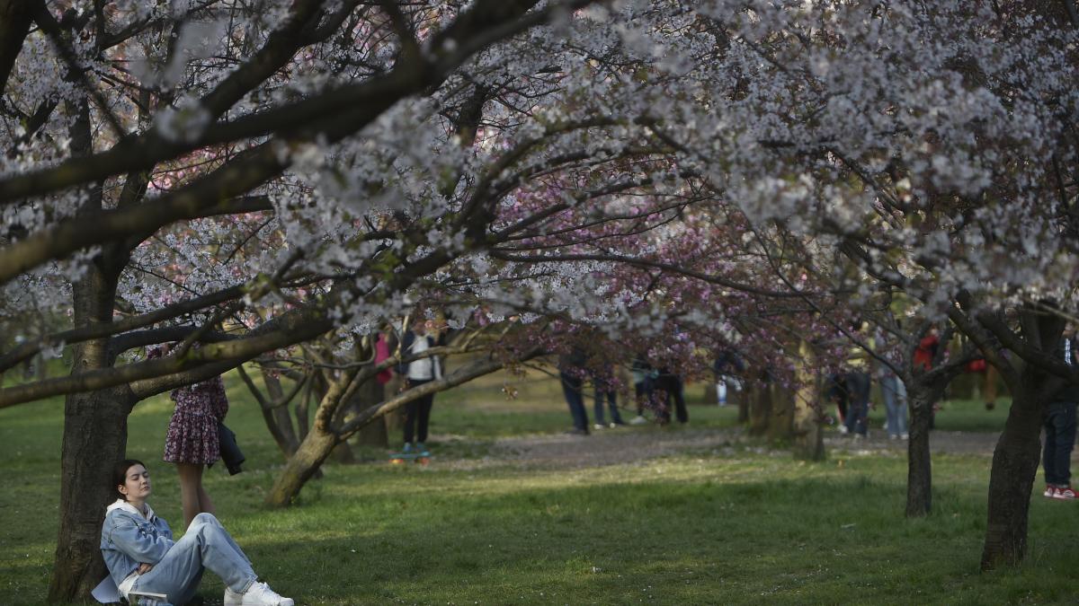 cum va fi vremea de florii in bucuresti si in tara
