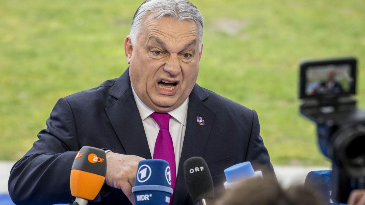 ungaria acuza un atentat pentru inlaturarea lui viktor orban in prag de alegeri revolta in opozitie vrea sa creeze panica