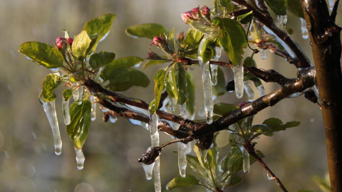 vreme de iarna inainte de paste sefa anm anunta unde va ploua si unde va ninge sambata si duminica