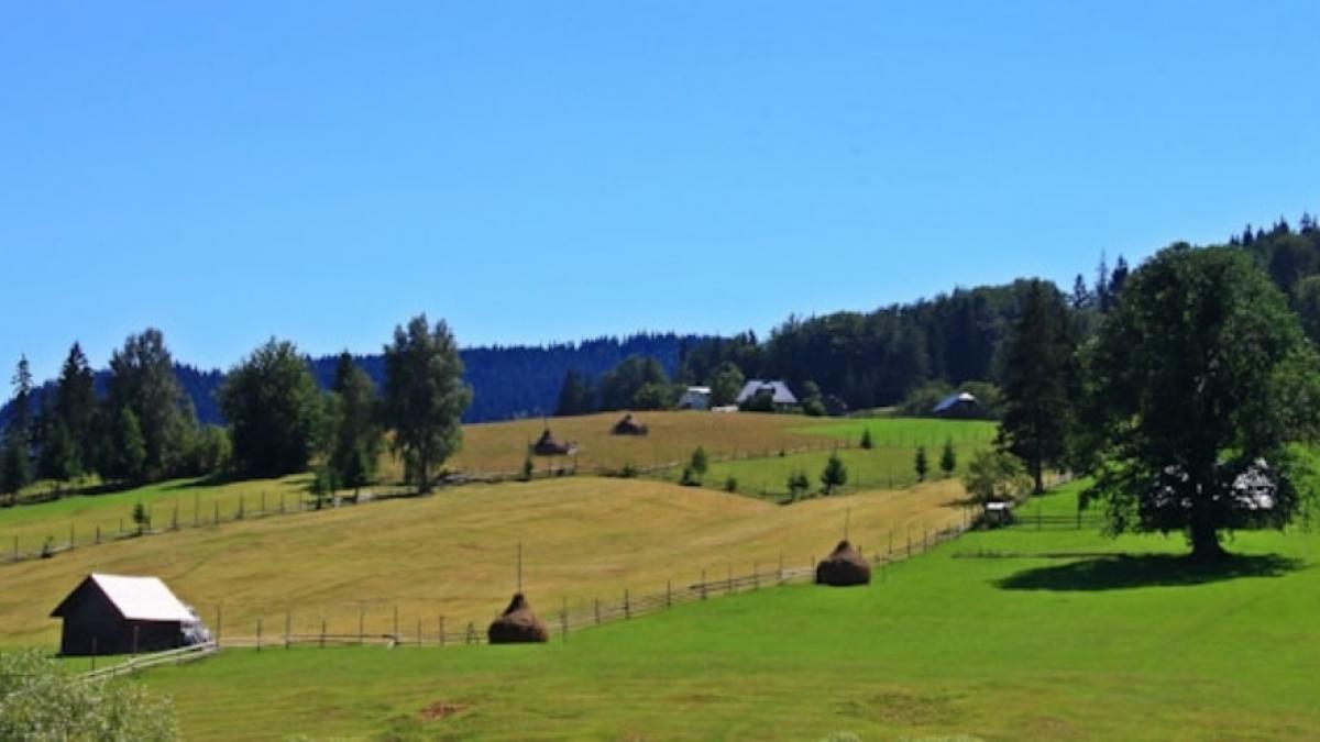 peisaj din gura humorului