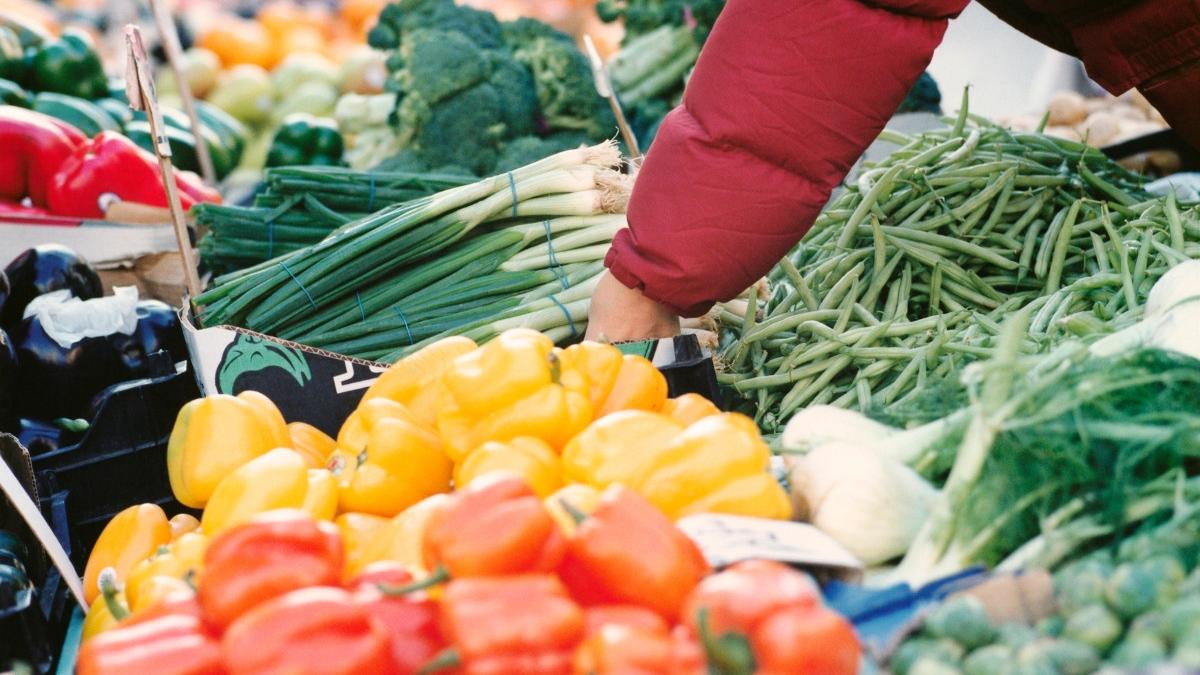 peste 700 kg de mancare au fost confiscate de autoritati in ilfov dupa nereguli gasite la patru firme s au dat amenzi de mii de euro
