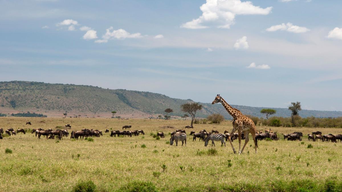 park natural din africa