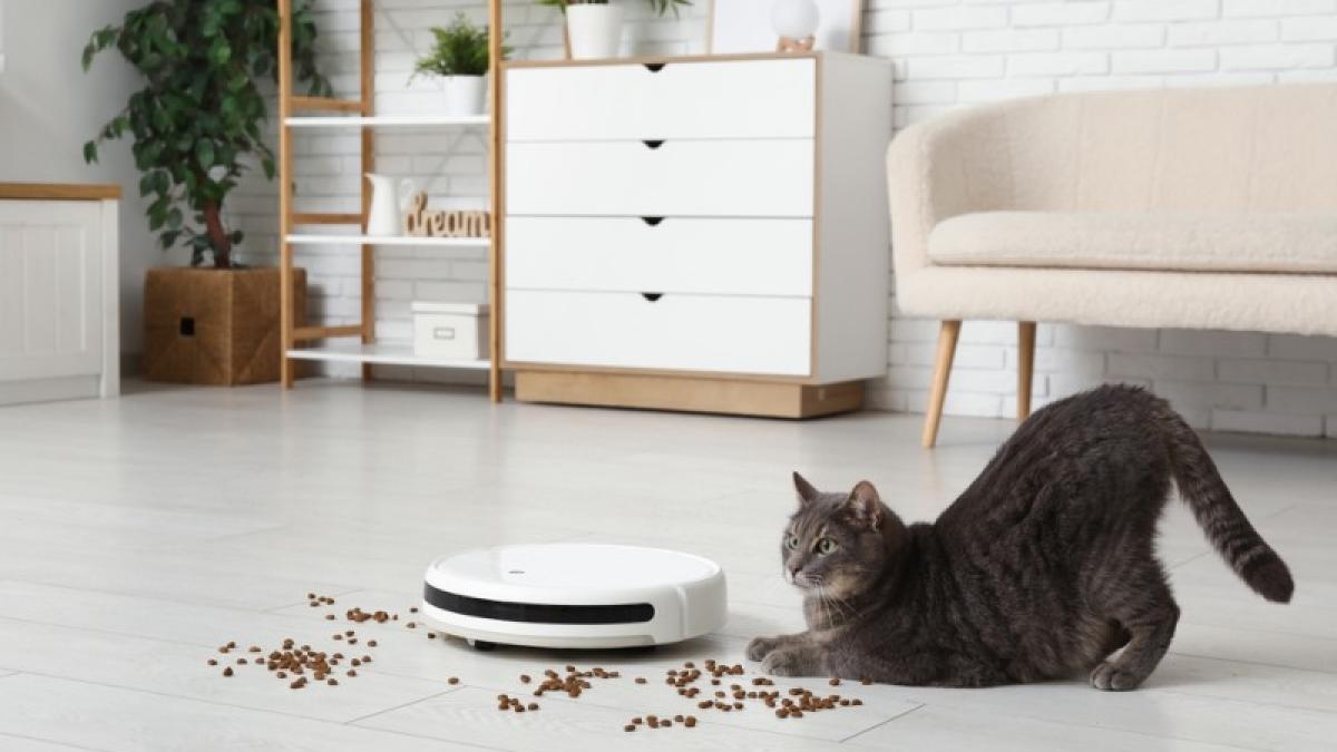 robot de bucatarie curatand resturile alimentare pisica