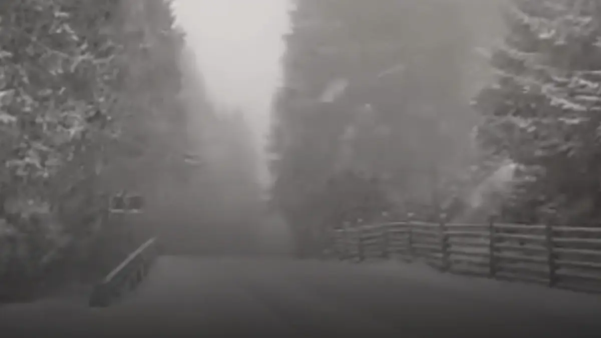 dimineata cu temperaturi de iarna si ninsori inainte de paste 6 c la paltinis 5 la sinaia