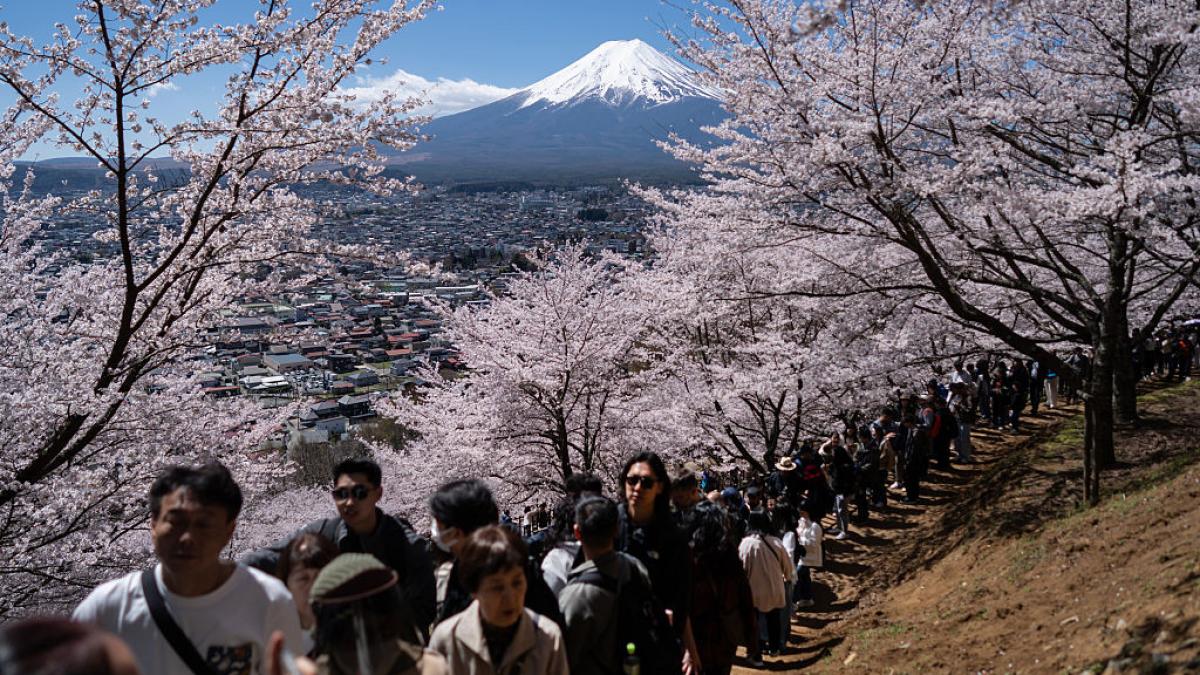 turisti ciresi inflroiri muntele fuji
