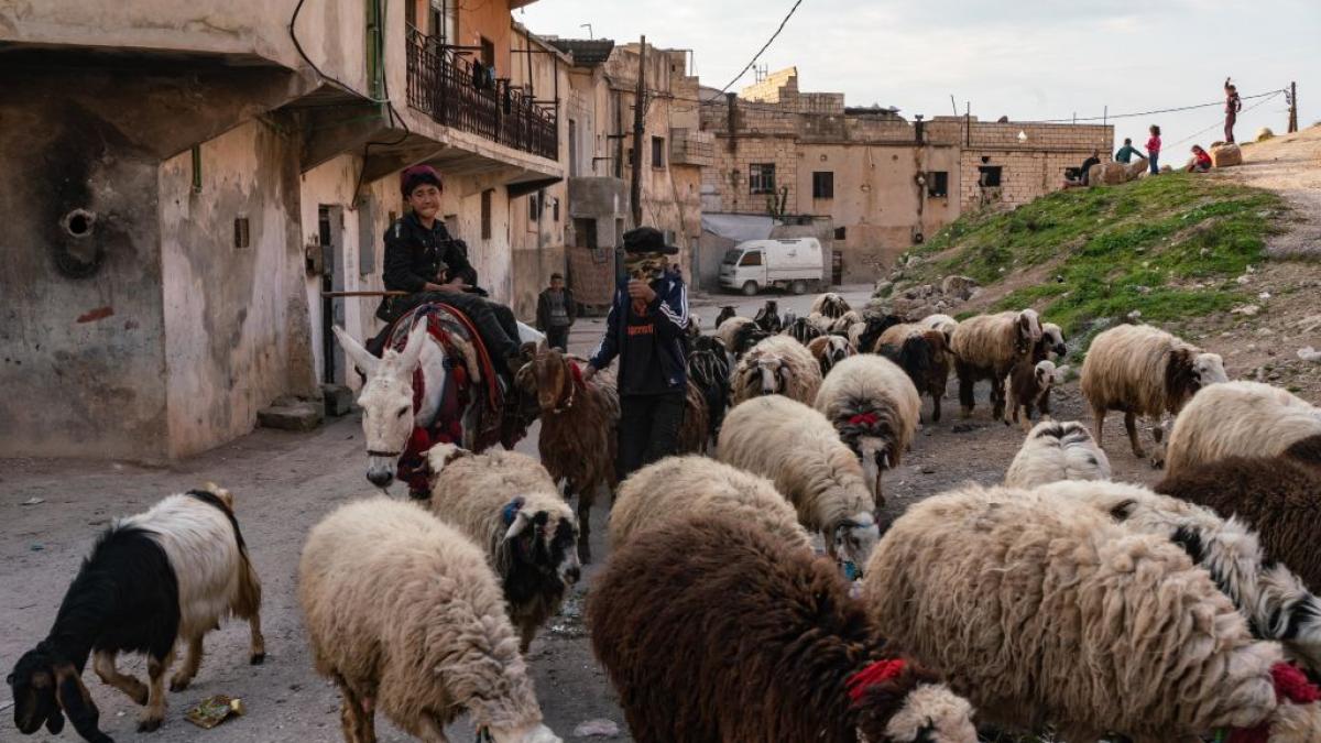 meseria platita cu 2 300 de euro pe care nimeni nu o mai vrea este foarte greu sa gasim oameni