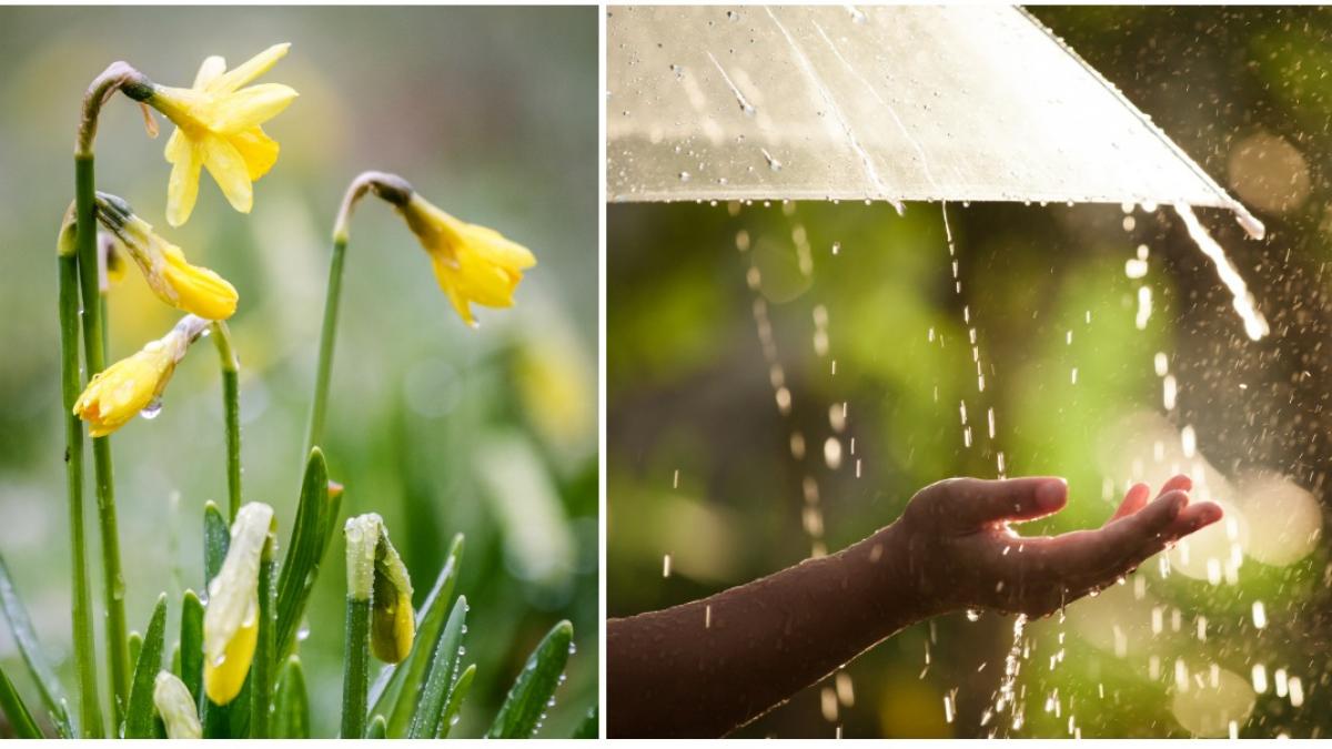 prognoza meteo actualizata pentru bucuresti anm temperaturi scazute si precipitatii mixte pana sambata dimineata