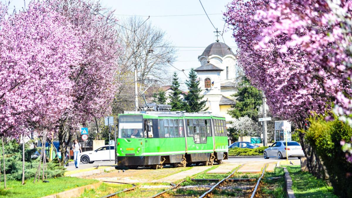 tramvai bucuresti aprilie 2026 copaci infloriti