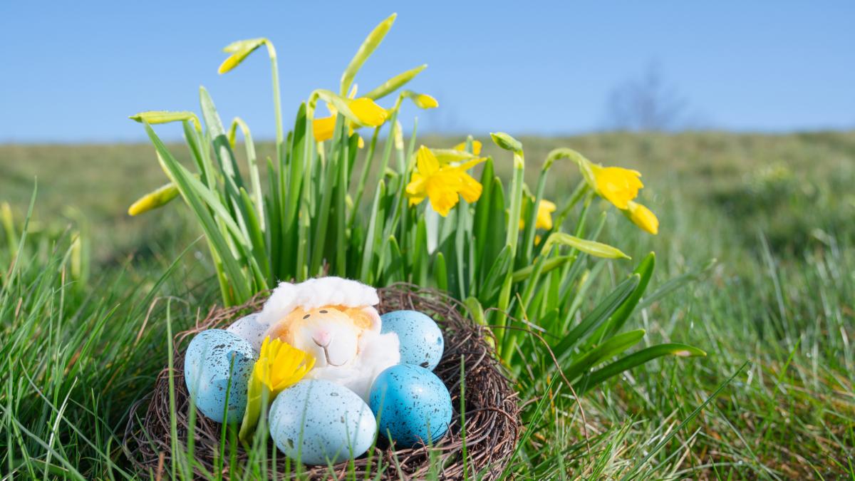 cum va fi vremea in noaptea de inviere si de cand se incalzeste anm vor fi temperaturi de 4 grade iar in unele zone ploi si ninsori